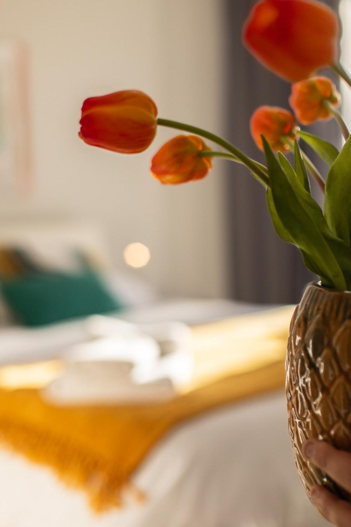 Veigas De Iria - Apartamento Turistico Vut Padrón Eksteriør billede